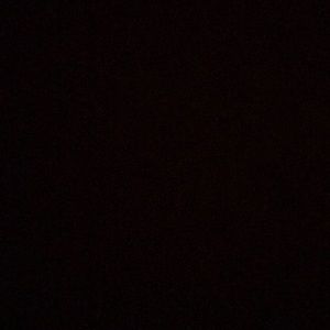 Meet your Posher, Kassidy